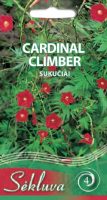 Sukučiai Cardinal Climber